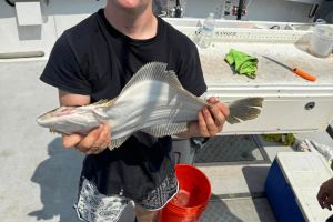 455658798 380133188453068 n